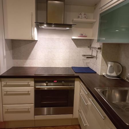 Apartment Blue Moon リュブリャナ エクステリア 写真